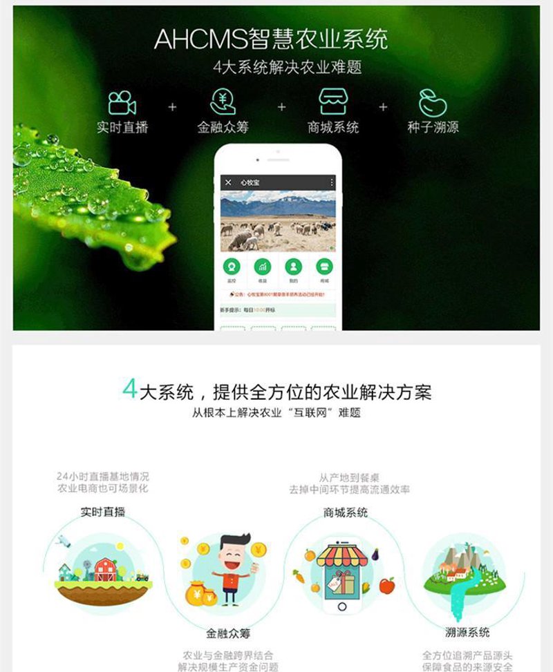 金融软件定制